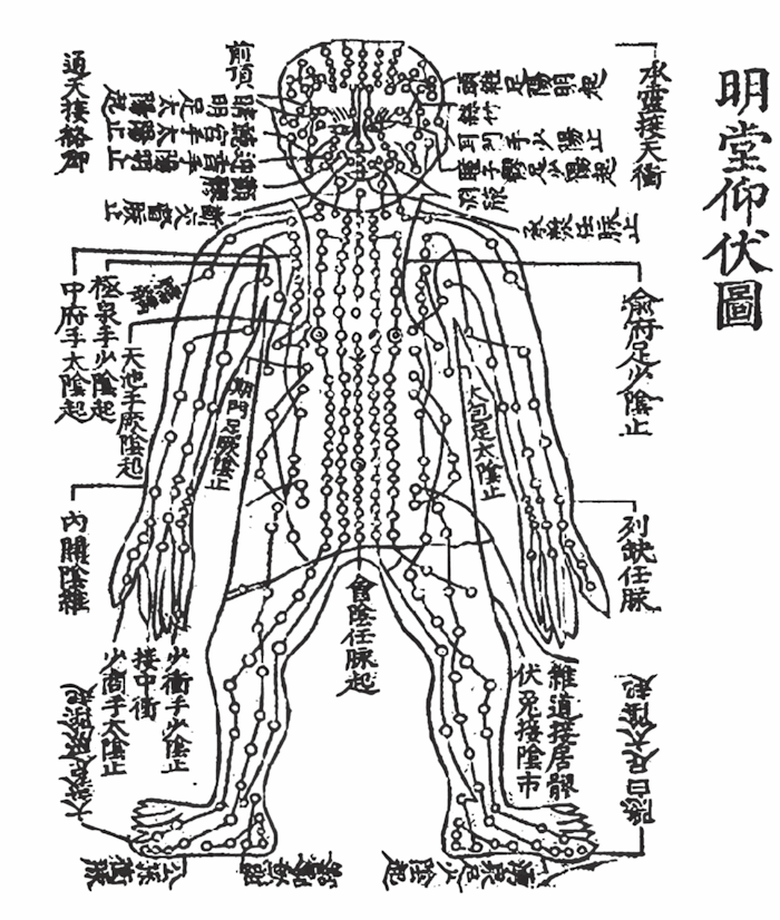 明代李梃经络图