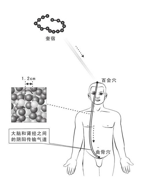 大药输送（右侧气道）