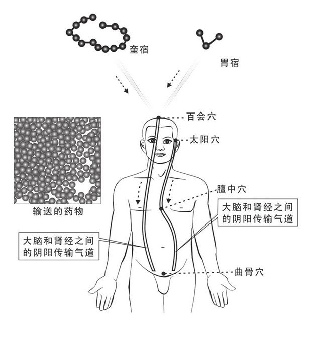 左右气道输送阴阳图