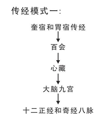 七、手少阳三焦经观察——三焦与胰腺