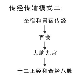 七、手少阳三焦经观察——三焦与胰腺