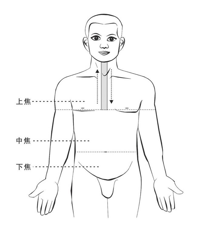 上焦通道旺相畅通