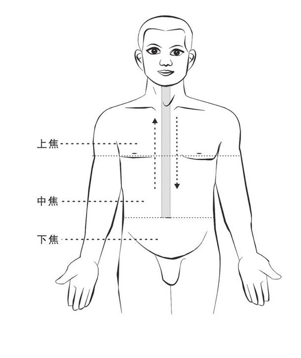 中焦通道旺相畅通