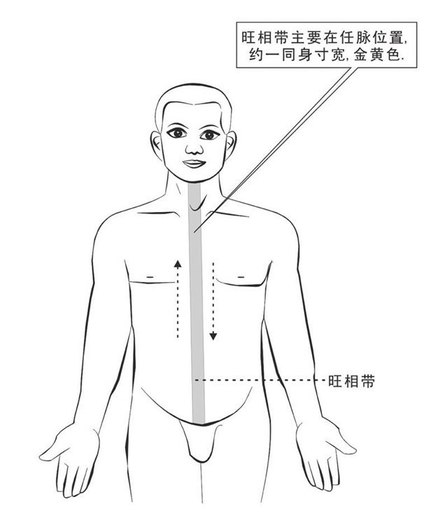 三焦通道旺相畅通
