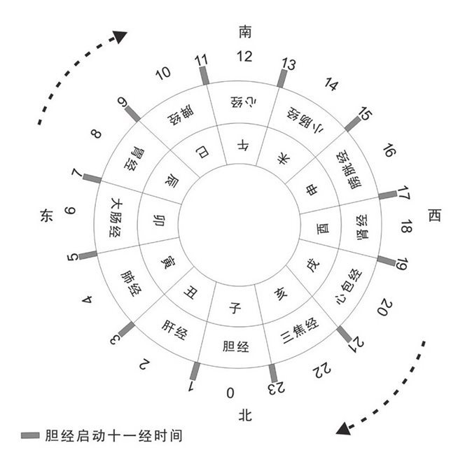 胆启动十一经图