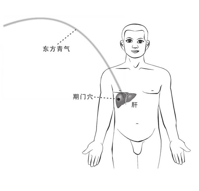 东方青气入通与肝