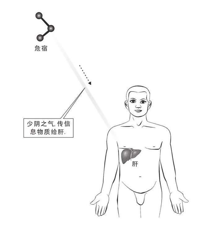 危宿传气和信息