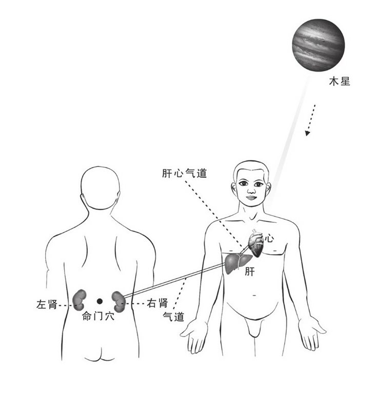 心、肝命门通气