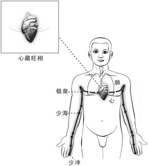 心藏旺相（心和心经旺相）