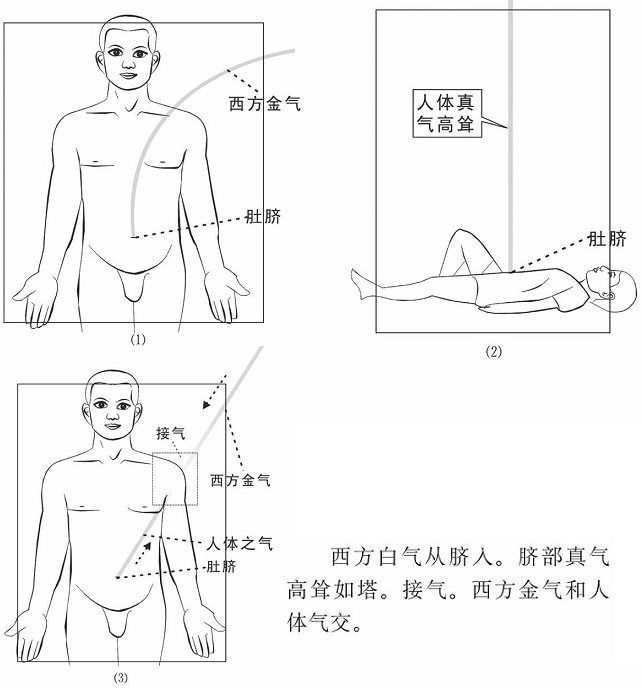 二、肺经观察二