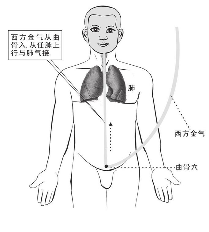 西方金气入曲骨