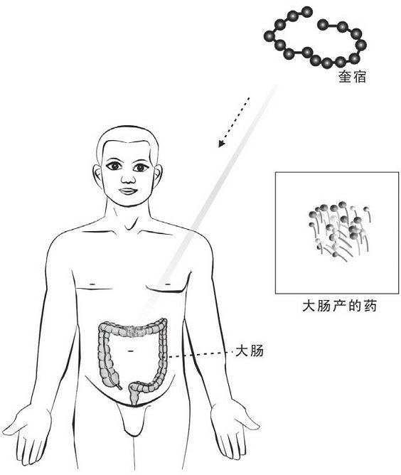 大肠产药