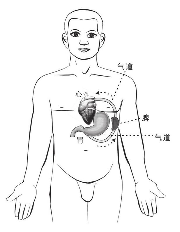 胃、脾、心三通气