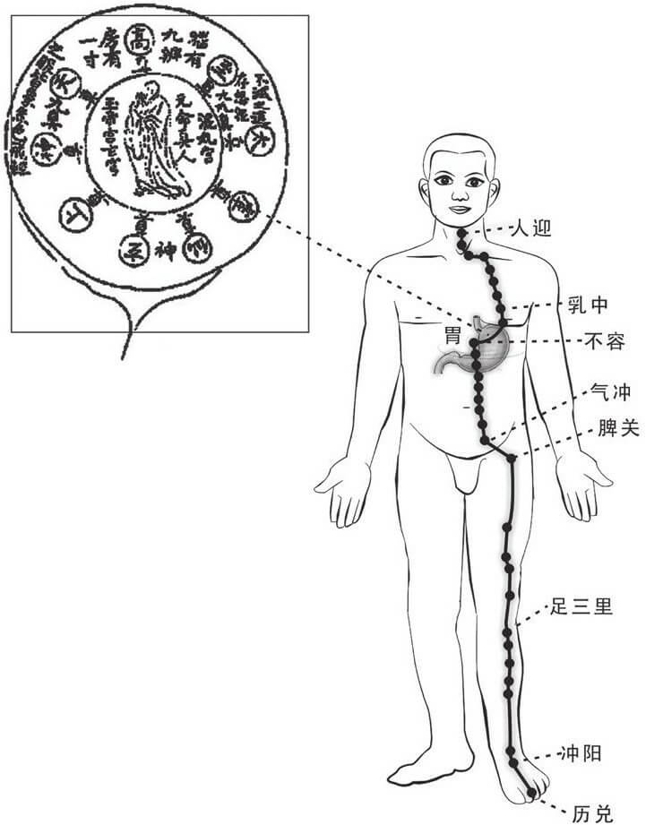 大脑九宫与胃联通