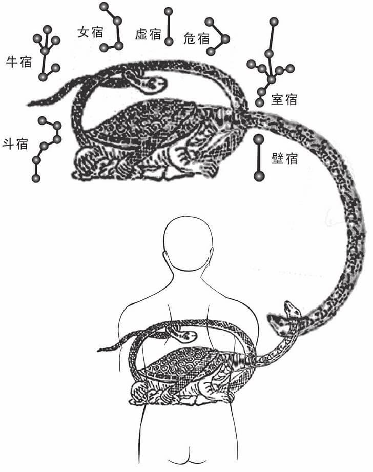 北方玄武和人体玄武接气
