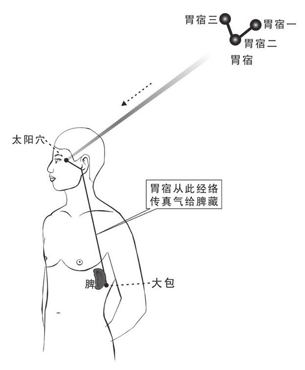 胃宿之气下传脾