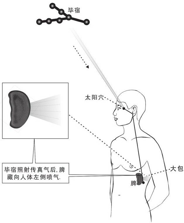 毕宿之气下传脾