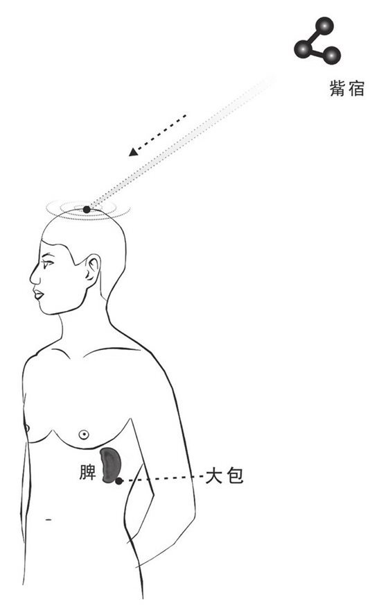 觜宿之气下传脾