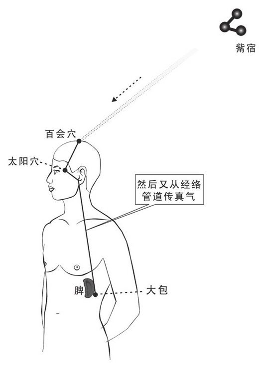 觜宿之气下传脾（经络路径）