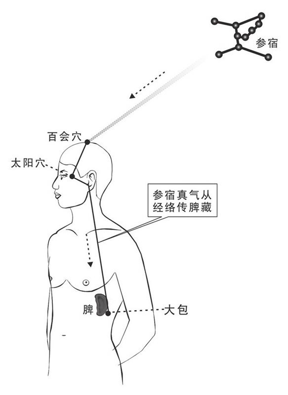 参宿之气下传脾