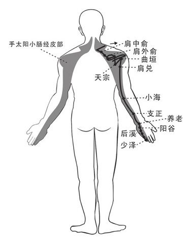 小肠经