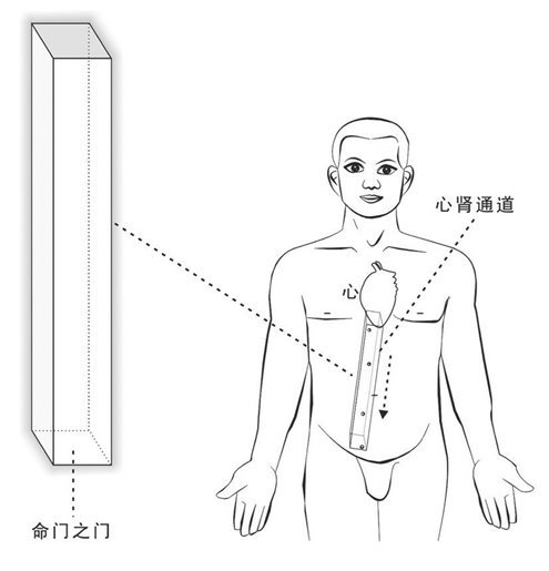 心肾交通