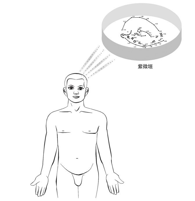 紫微垣给大脑传药图
