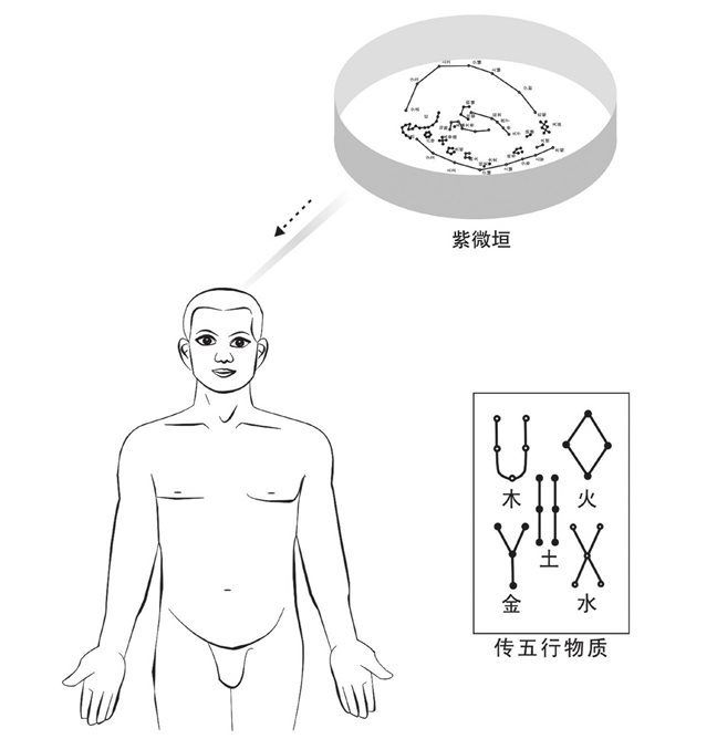 紫微垣给大脑传五行物质