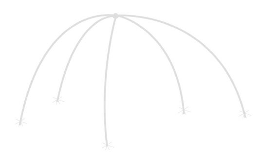 10克甘草在脾脏产生的伞形结构