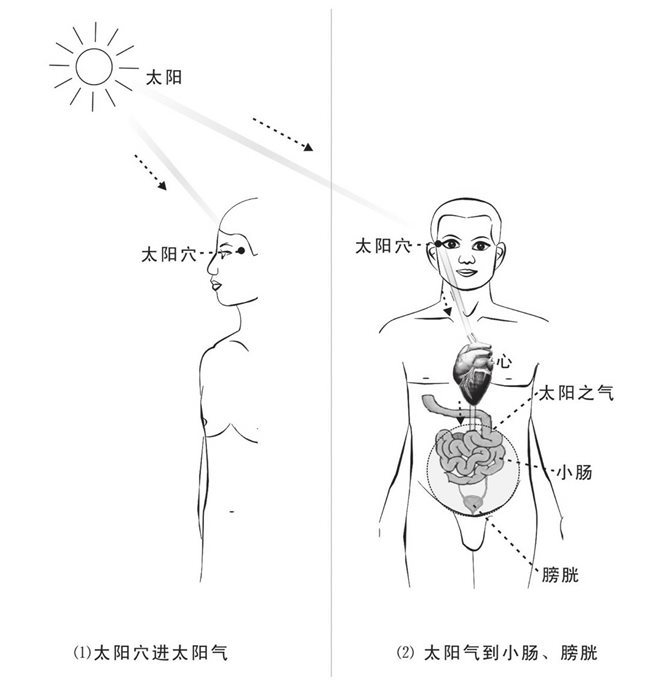 太阳通过太阳穴传气