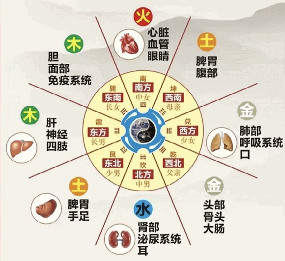第四节 五行学说与人体五脏的对应关系