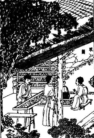 十七世纪的三张中国画:取茧、择茧、治丝——生产丝绸的最初几道工序