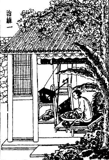十七世纪的三张中国画:取茧、择茧、治丝——生产丝绸的最初几道工序