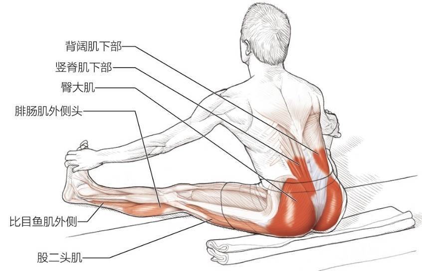 变化动作：借助脚趾牵拉的坐姿髋内收肌和伸肌拉伸