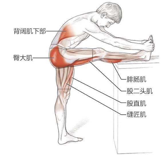变化动作：抬腿膝、踝、肩和背部拉伸