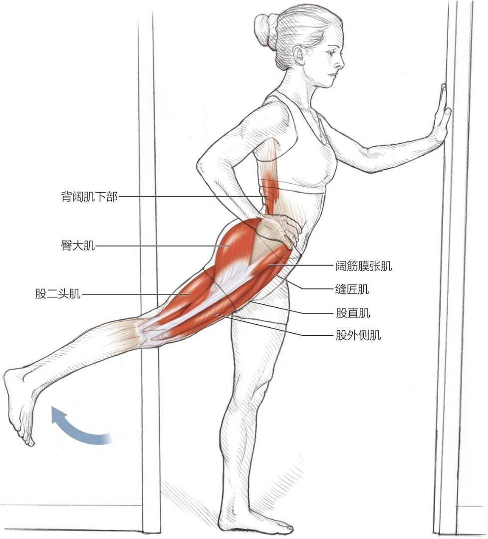 动态髋屈肌和伸肌拉伸
