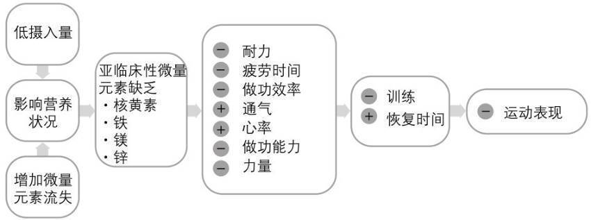 运动员的微量营养素需求