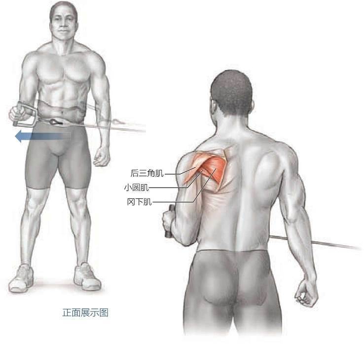 外旋