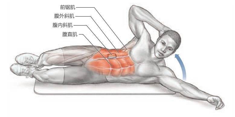 腹斜肌卷腹
