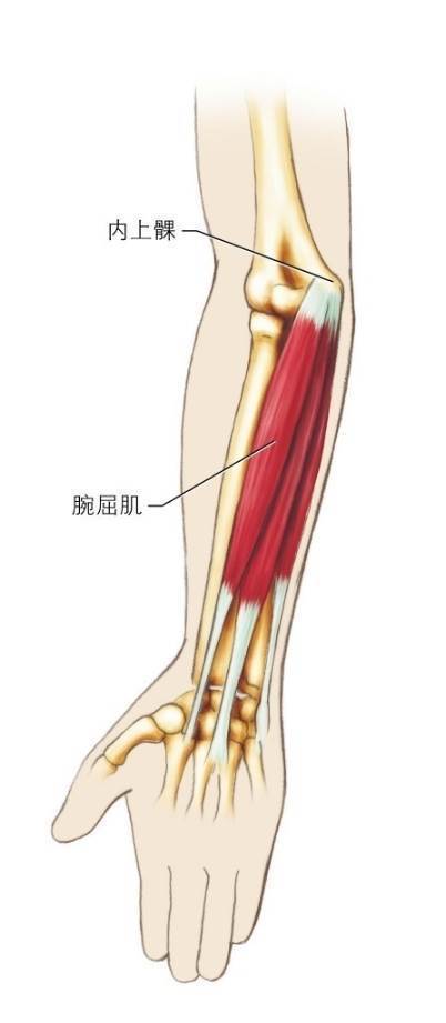 高尔夫球肘