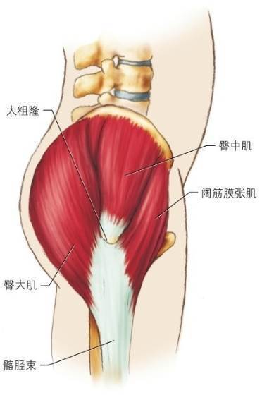 髋关节弹响综合征