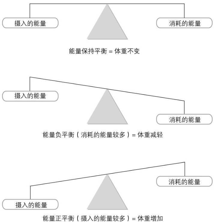 公式