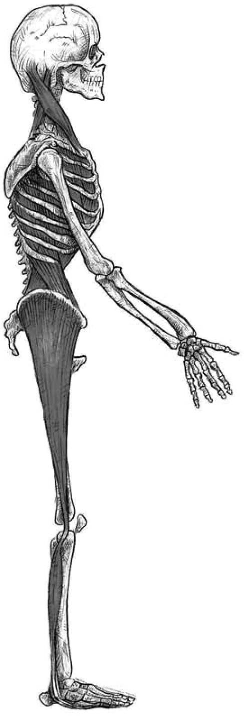 第6步：辨别身体扳机点并绘图