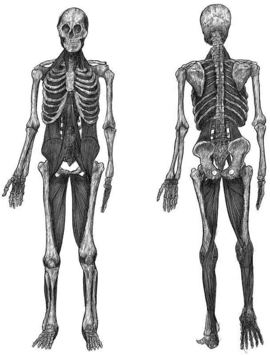第6步：辨别身体扳机点并绘图