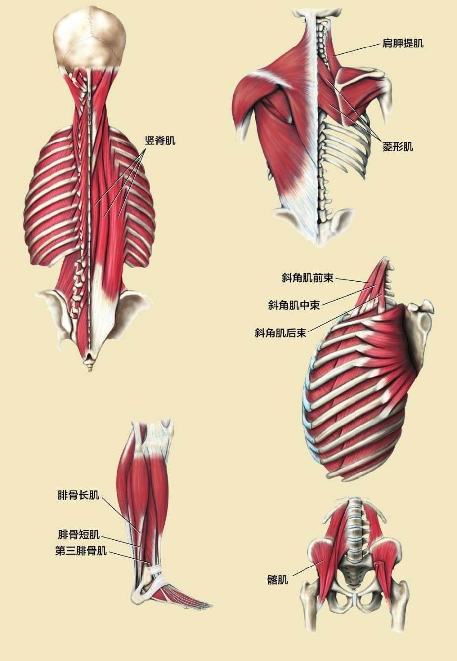 其他三