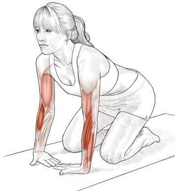 变化动作：桡侧腕偏向肌和伸肌拉伸