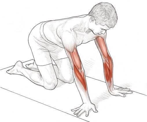 变化动作：桡侧腕偏向肌和屈肌拉伸