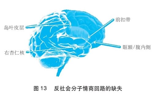 反社会分子的大脑