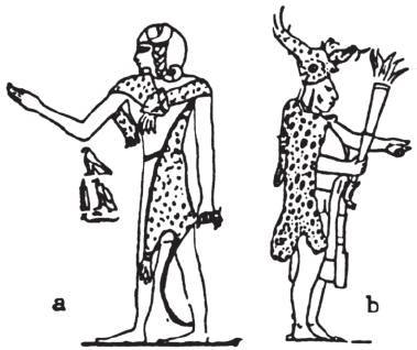 第四章 丛林深处的天空观察者