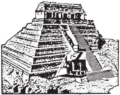 第四章 丛林深处的天空观察者